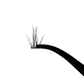 Indiv. 3