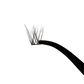 Indiv. 4