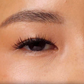 Lybre Lashes Indiv. 2 models wearing in video