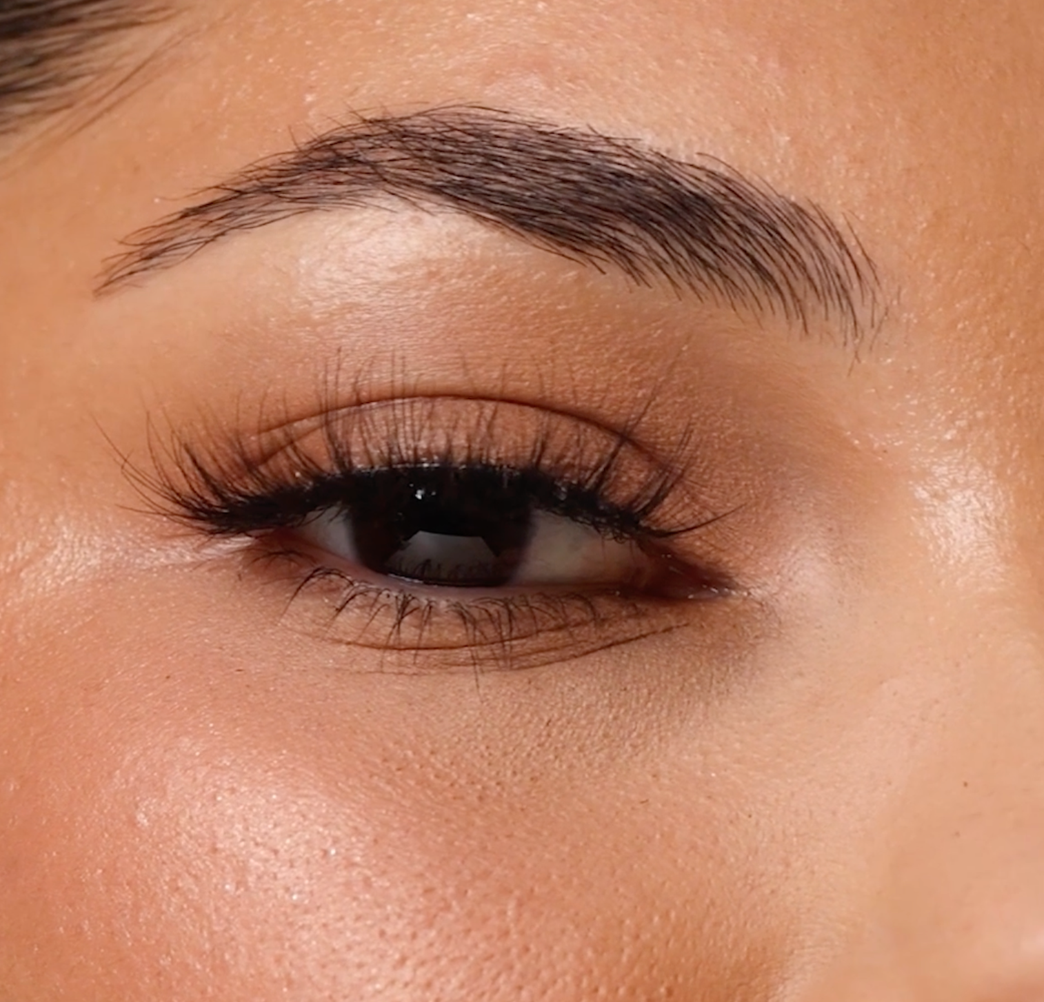 Lybre Lashes No 11 on models